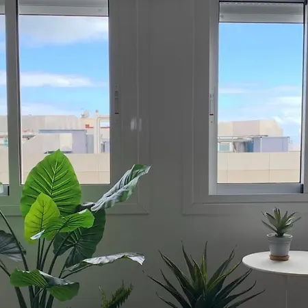 Apartament Centrico Y Agradable