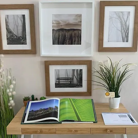 Centrico Y Agradable